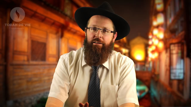 Portrait de Rav Elisha Schapira