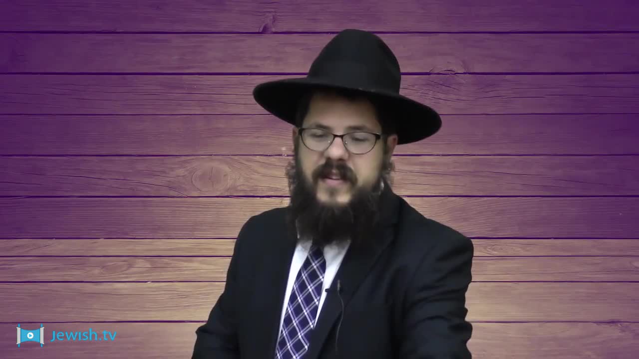תמונה של הרב שניאור אשכנזי